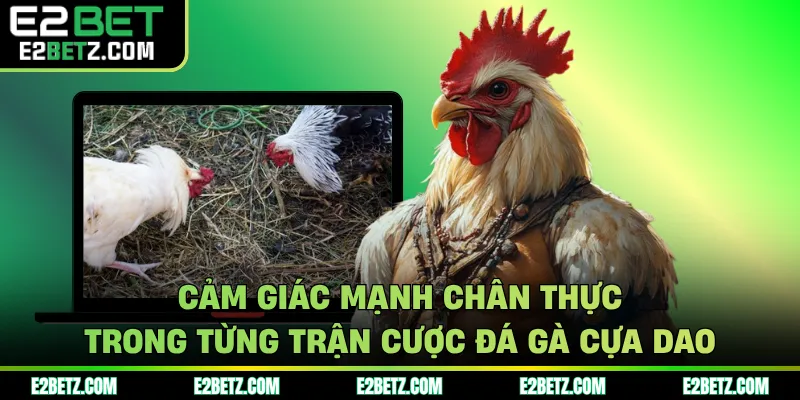 Cảm giác mạnh chân thực trong từng trận cược đá gà cựa dao