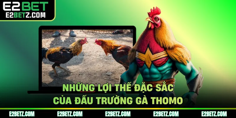 Những lợi thế đặc sắc của đấu trường gà Thomo