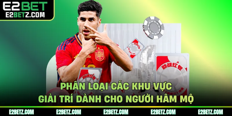 Phân loại các khu vực giải trí dành cho người hâm mộ