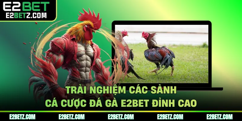 Trải nghiệm các sảnh cá cược đá gà E2BET đỉnh cao